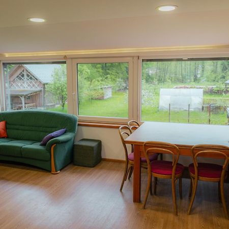 Country Retreat, Near Ljubljana City, Apartma Na Vasi, Blizu Mesta Ljubljana Lägenhet Medvode Exteriör bild