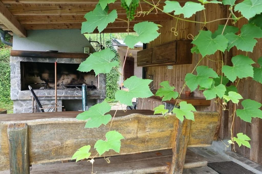 Country Retreat, Near Ljubljana City, Apartma Na Vasi, Blizu Mesta Ljubljana Lägenhet Medvode Exteriör bild
